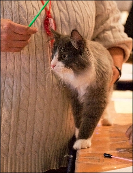 West de Tsavo 2.jpg - West de Tsavo